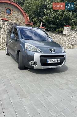 Минивэн Peugeot Partner 2010 в Тернополе