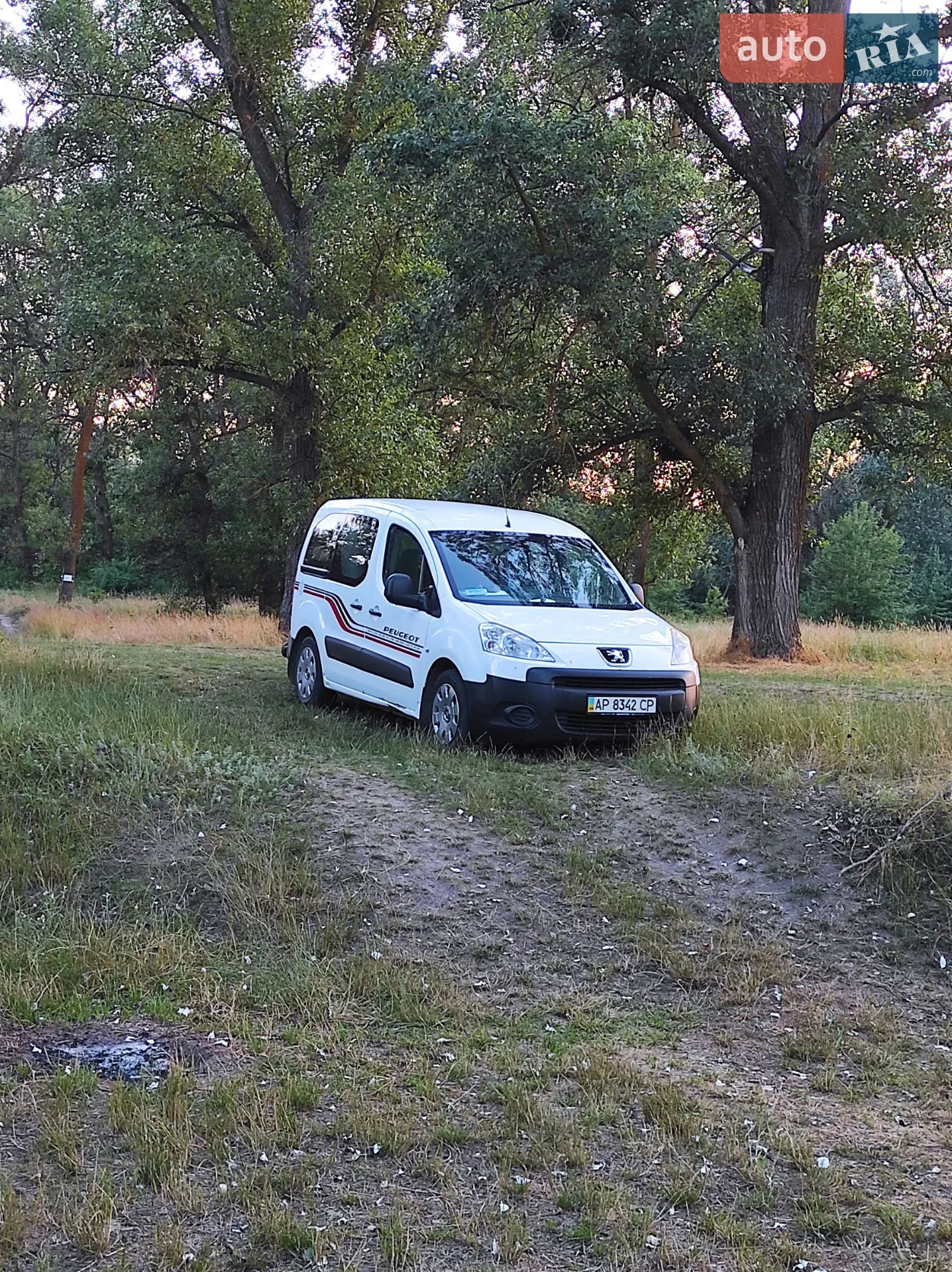 2011 Peugeot Partner - фото 1