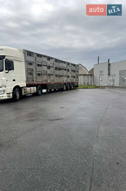 Для перевезення тварин - напівпричіп Pezzaioli SBA 2006 в Козятині