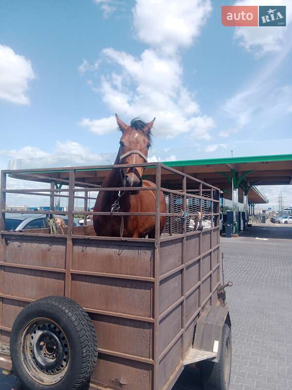 Для перевезення тварин - прицеп ПГМФ 8304 2016 в Житомирі
