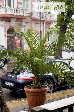 Купе Porsche 911 2005 в Одесі