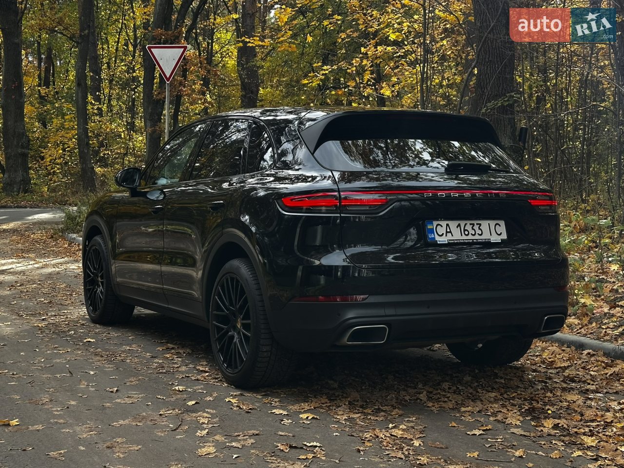 2019 Porsche Cayenne - мініатюра 18