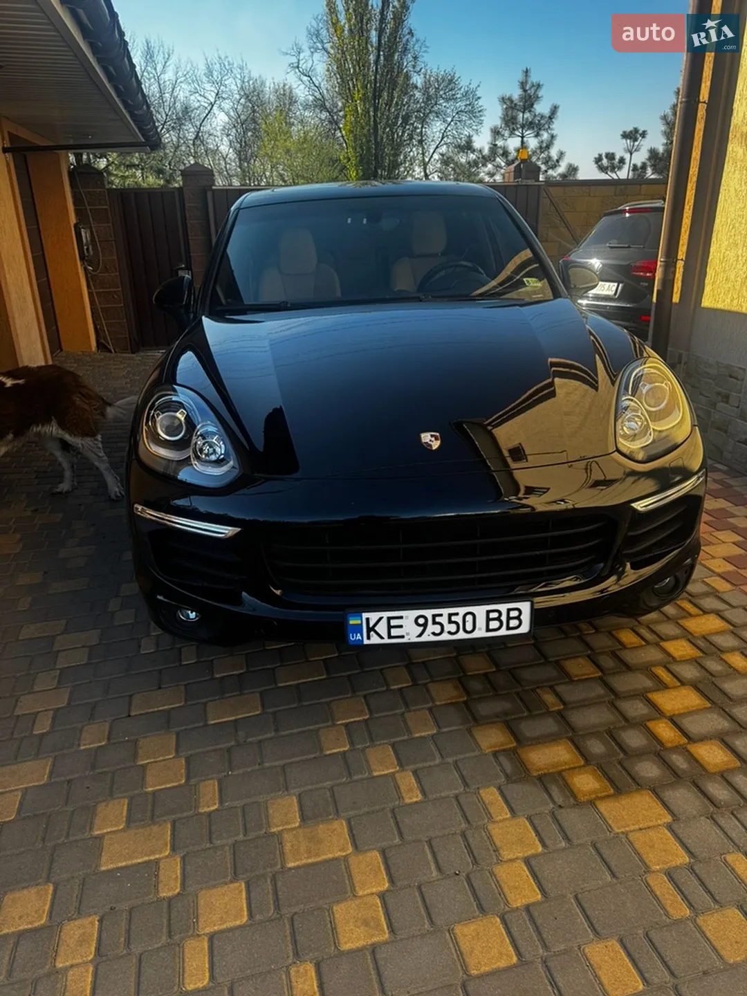 2015 Porsche Cayenne - фото 1
