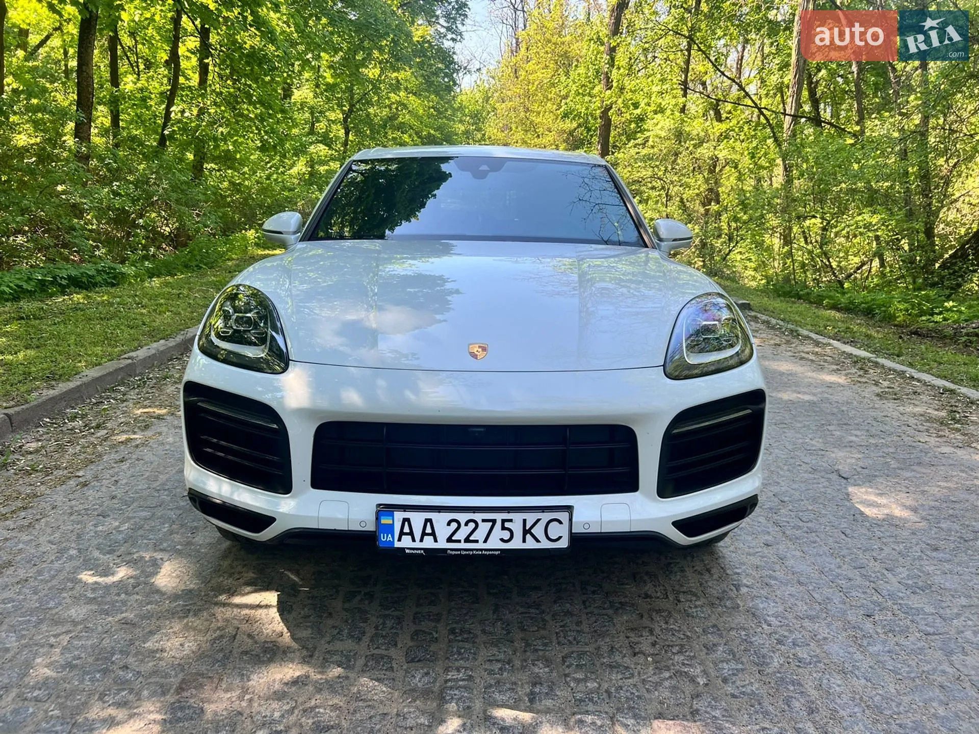 2019 Porsche Cayenne - фото 1