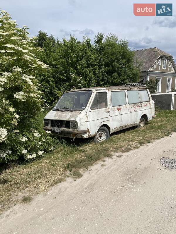 Другие автобусы РАФ 2203 1982 в 