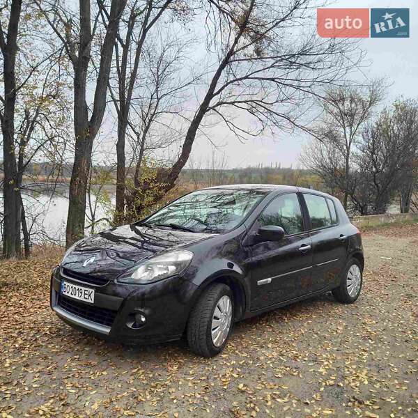 Хэтчбек Renault Clio 2009 в Томаковке