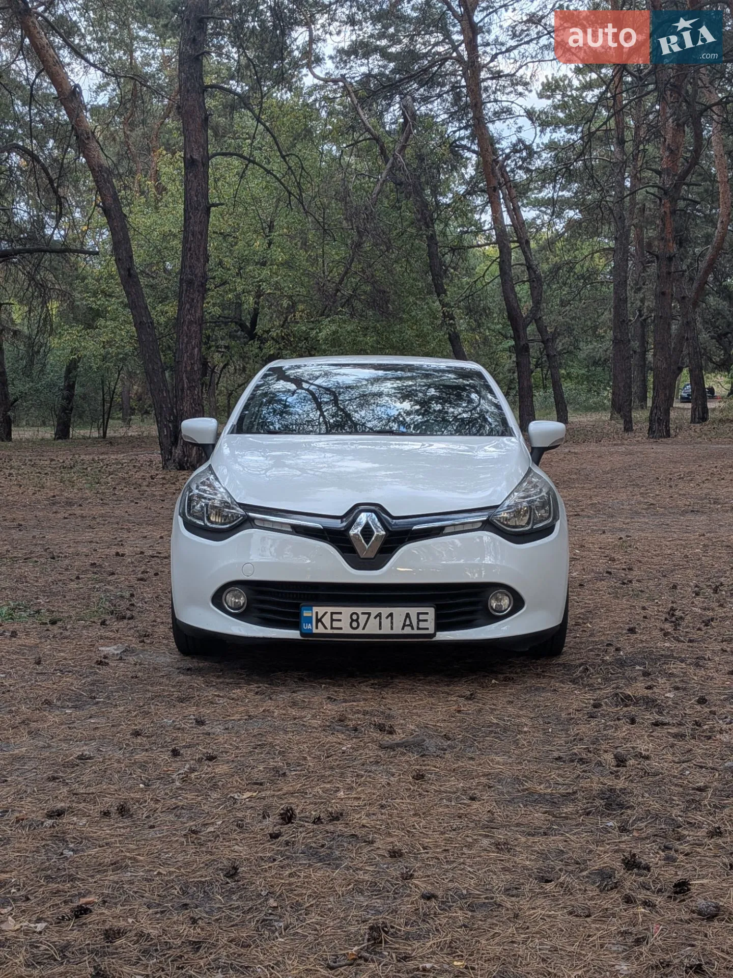 2013 Renault Clio - мініатюра 5