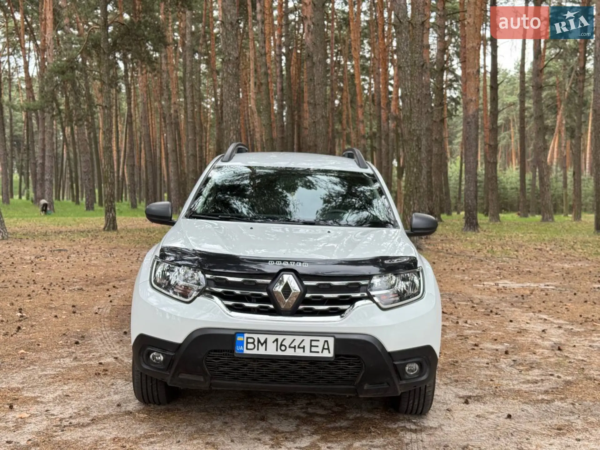 2022 Renault Duster - фото 1