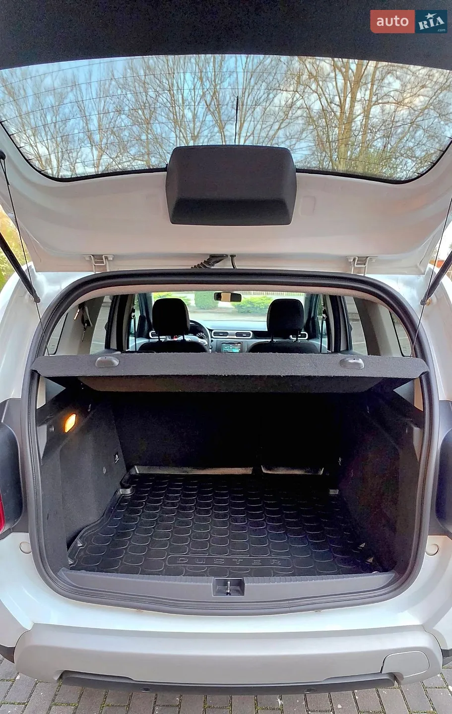 2018 Renault Duster - мініатюра 30