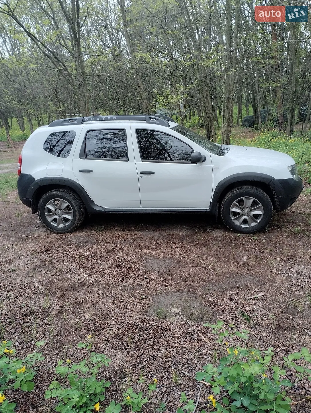 2017 Renault Duster - мініатюра 4