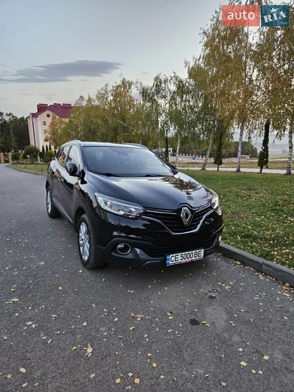2017 Renault Kadjar - мініатюра 13