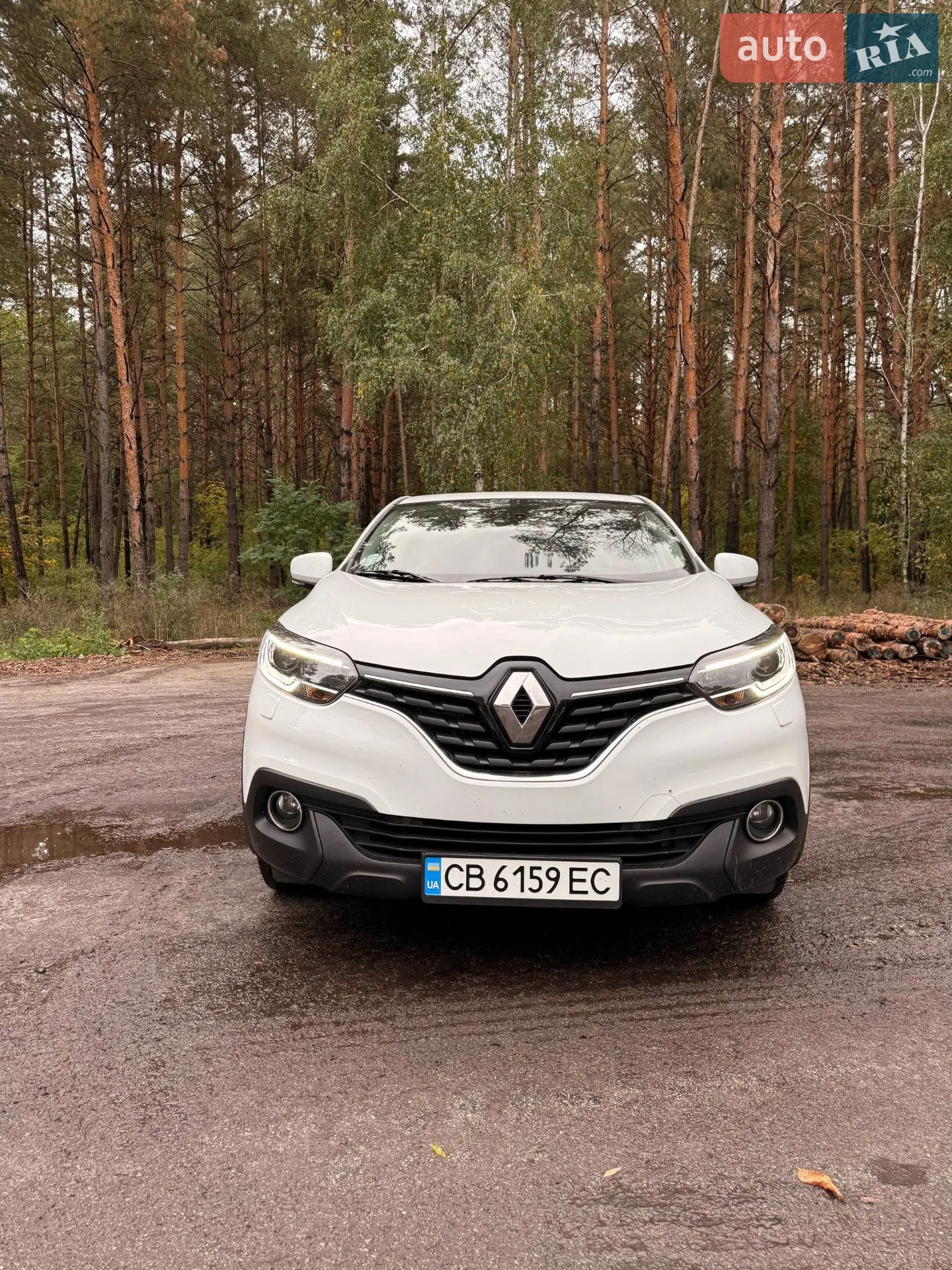 2017 Renault Kadjar - фото 1