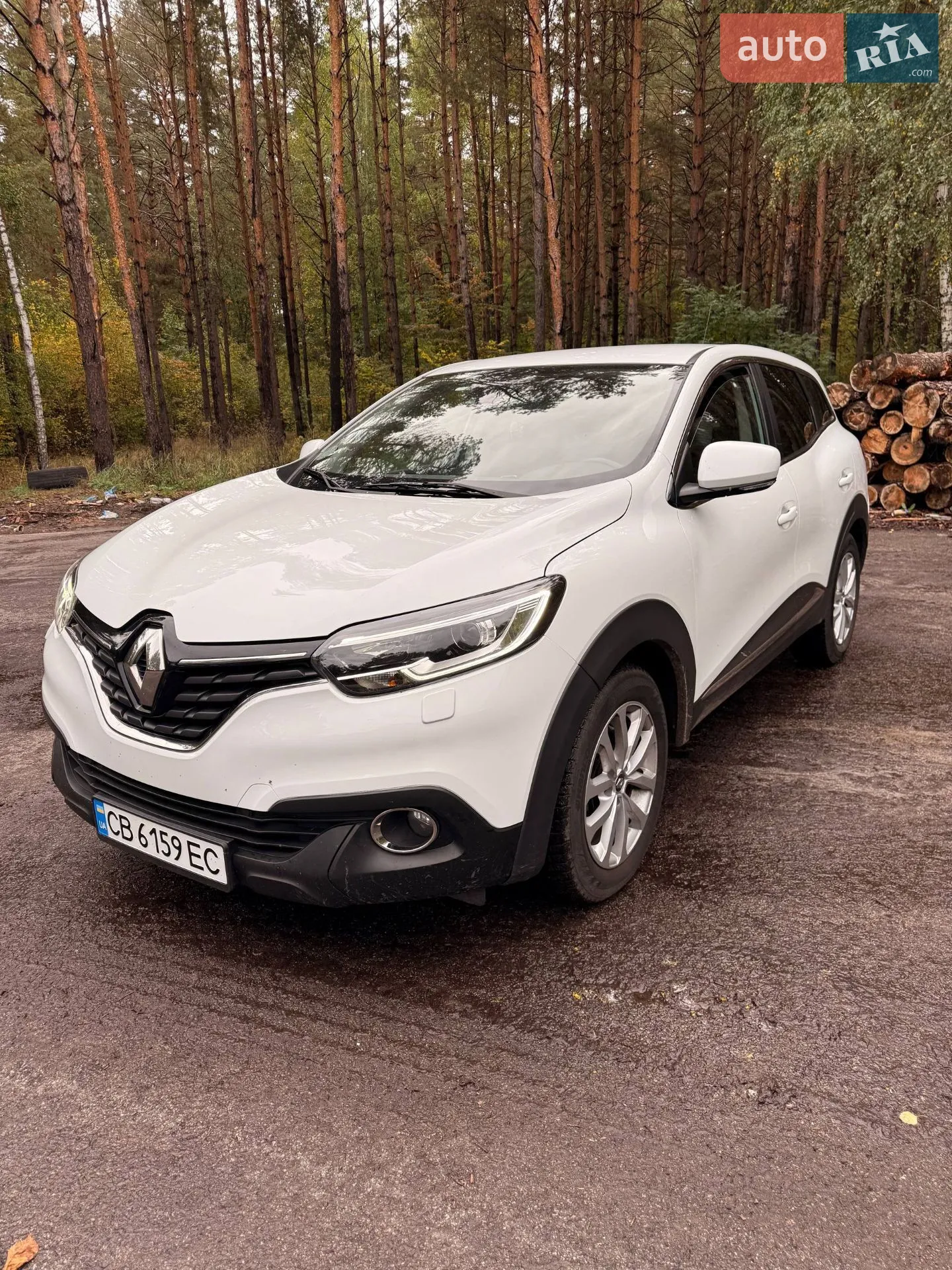 2017 Renault Kadjar - мініатюра 3