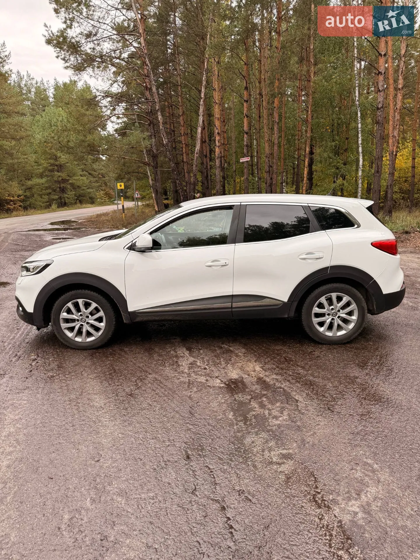 2017 Renault Kadjar - мініатюра 11