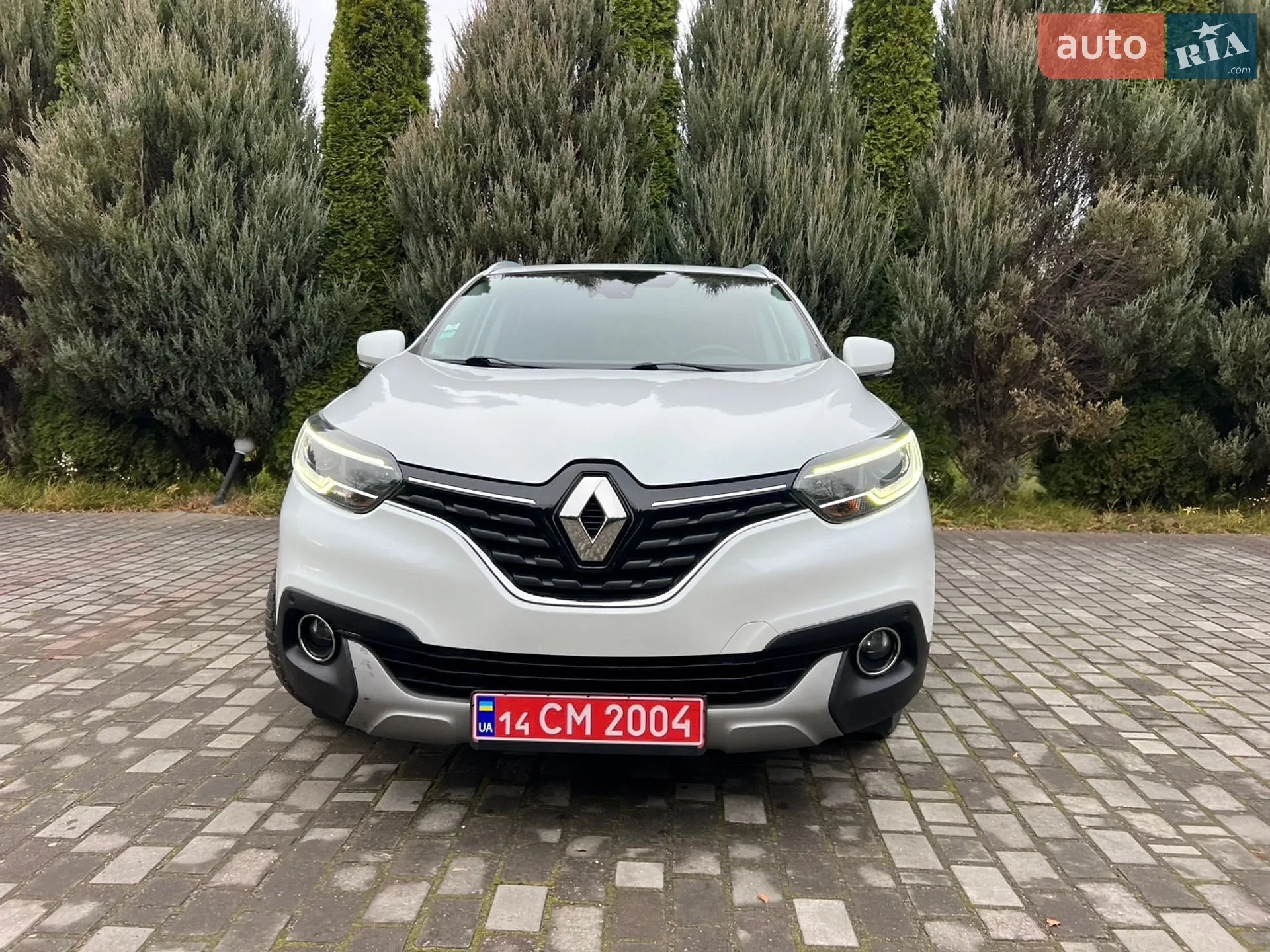 2015 Renault Kadjar - мініатюра 9
