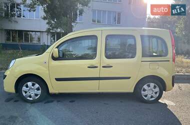 Минивэн Renault Kangoo 2009 в 