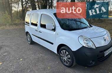 Минивэн Renault Kangoo 2009 в Житомире