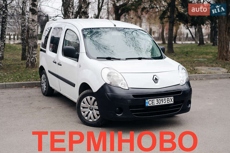 Минивэн Renault Kangoo 2010 в 