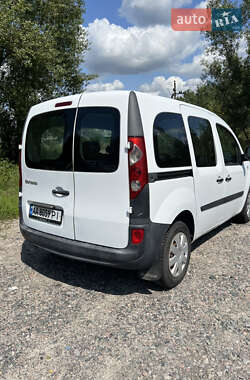 Минивэн Renault Kangoo 2010 в 