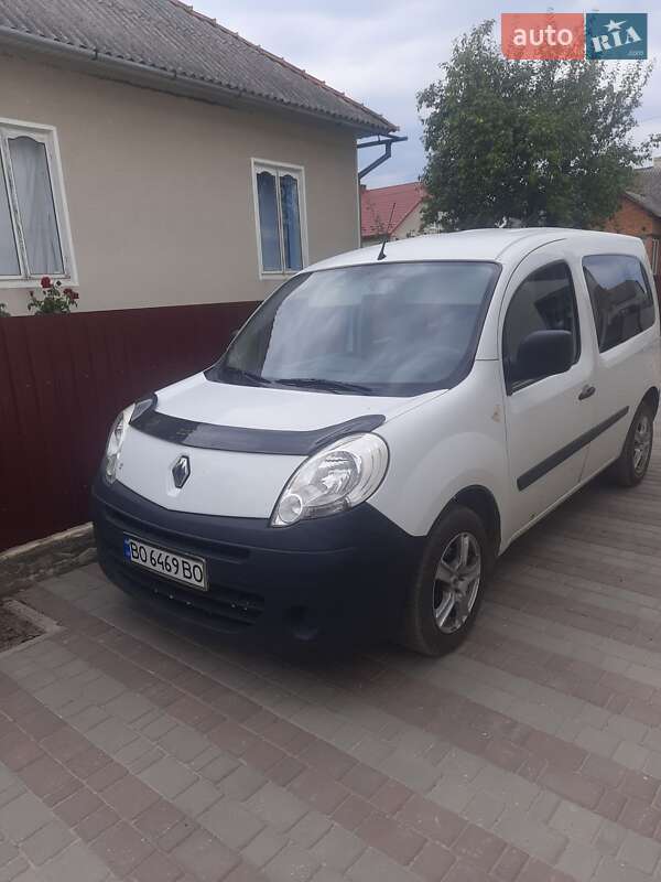 Минивэн Renault Kangoo 2008 в 
