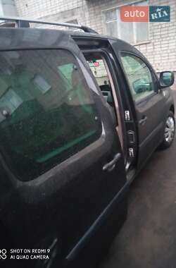 Минивэн Renault Kangoo 2009 в 