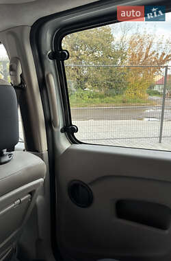 Минивэн Renault Kangoo 2010 в 