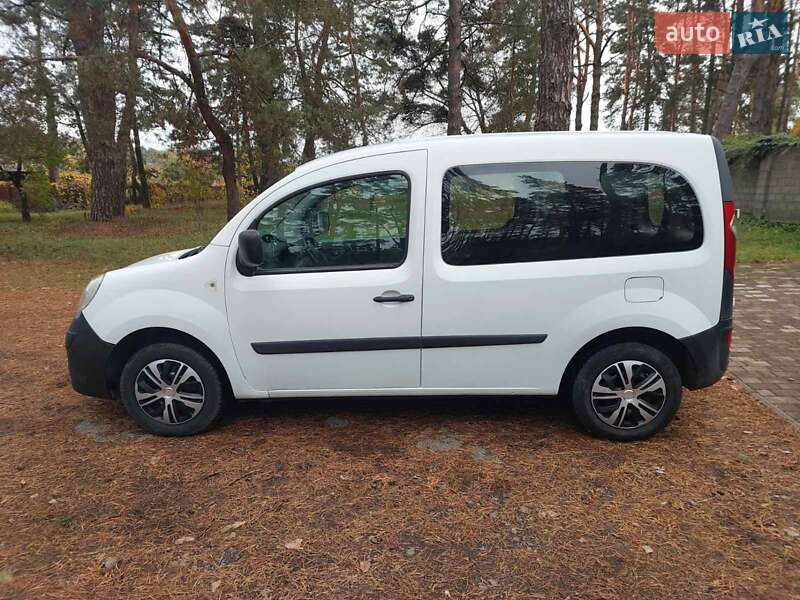 Минивэн Renault Kangoo 2009 в 
