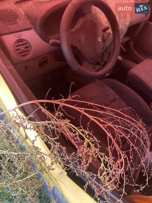 Вантажний фургон Renault Kangoo 2004 в Шпикові фото 6 Вантажний фургон Renault Kangoo 2004 в Шпикові