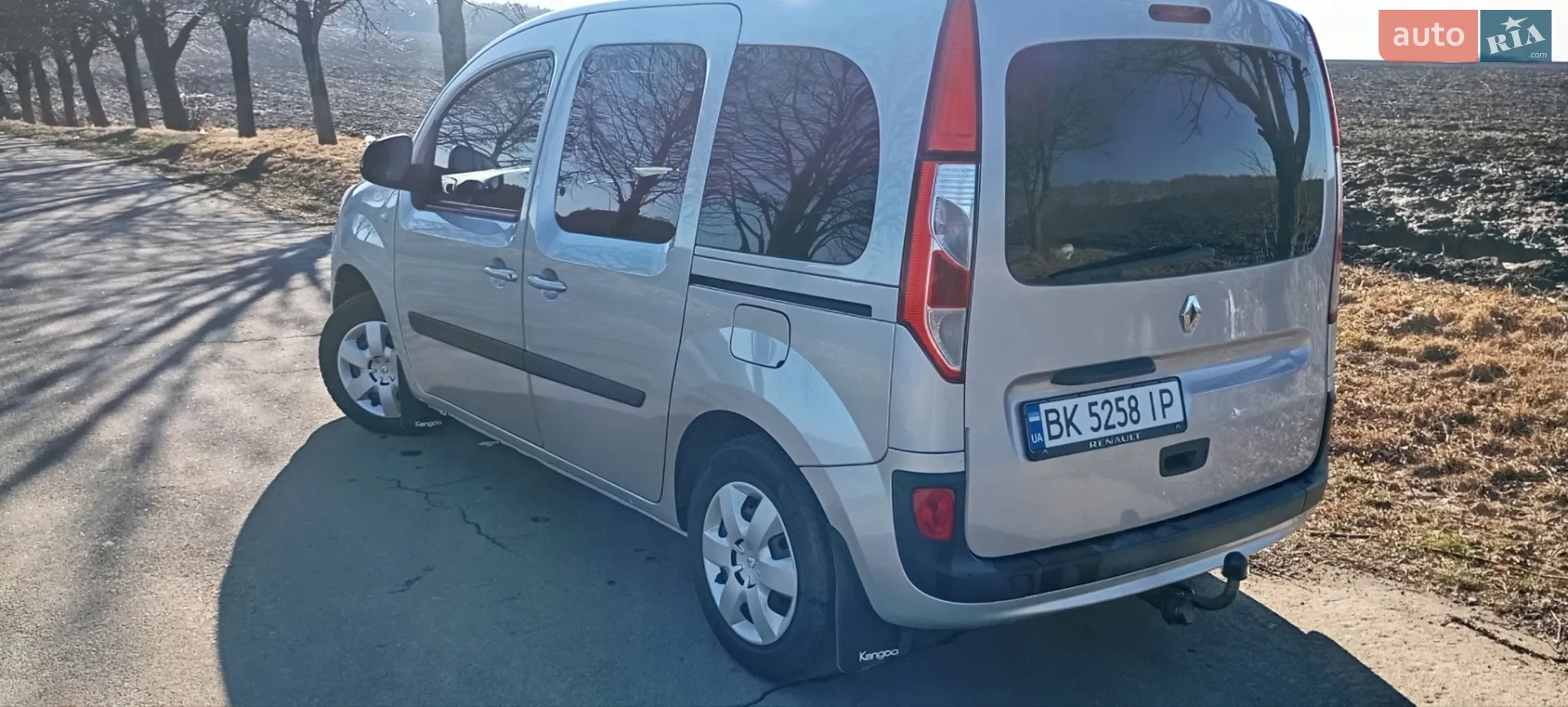 2014 Renault Kangoo - мініатюра 11