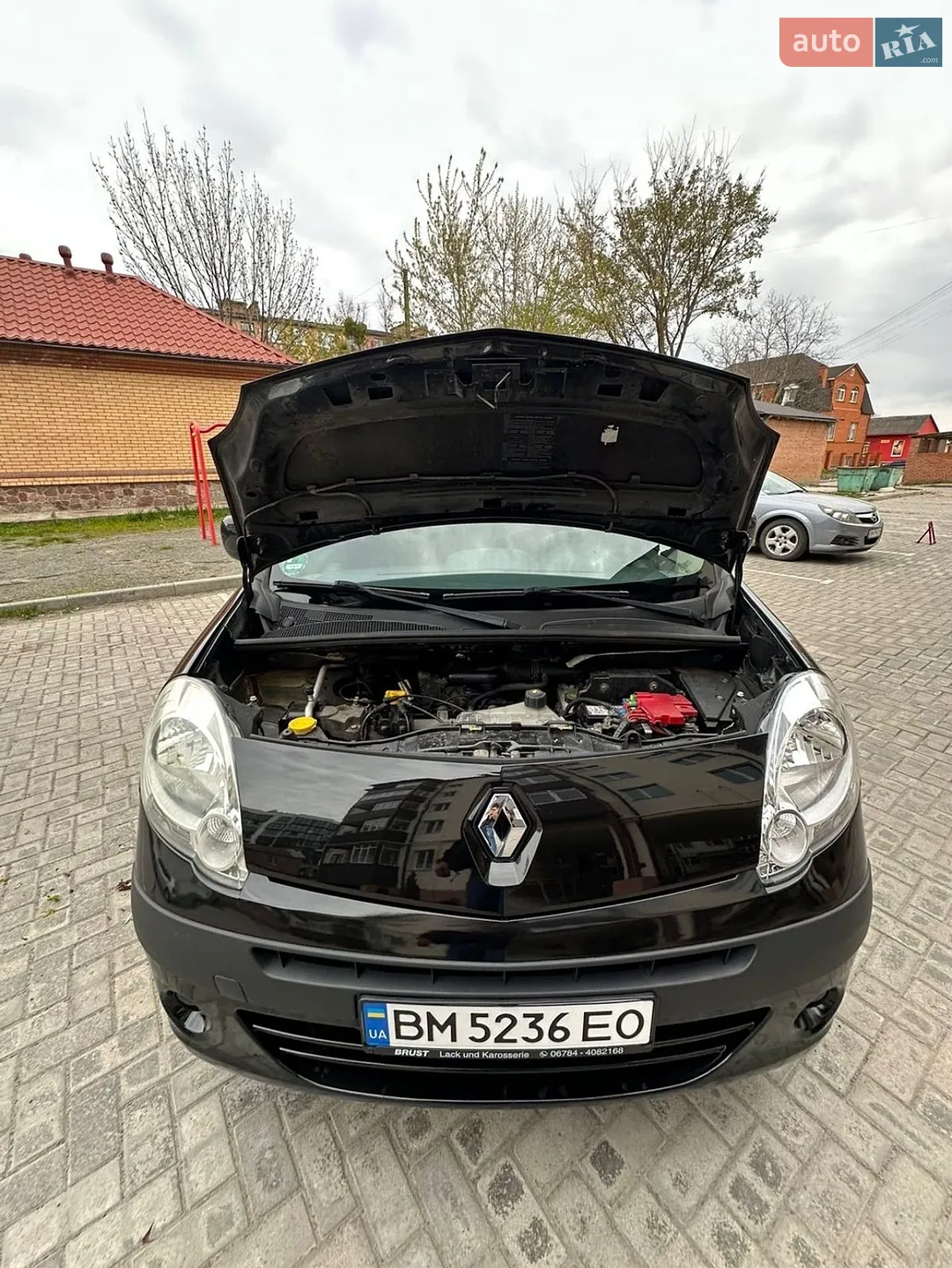 2010 Renault Kangoo - мініатюра 25