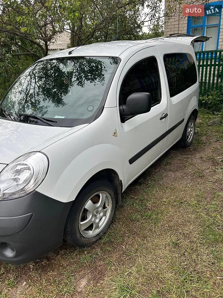 2010 Renault Kangoo - мініатюра 19