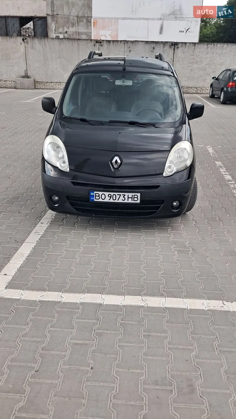 2010 Renault Kangoo - мініатюра 2