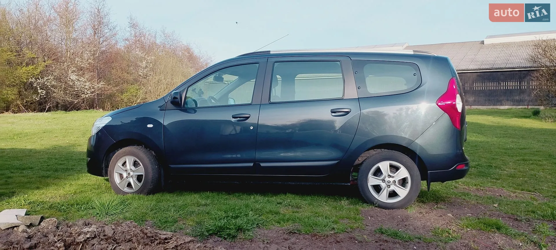 2021 Renault Lodgy - мініатюра 11