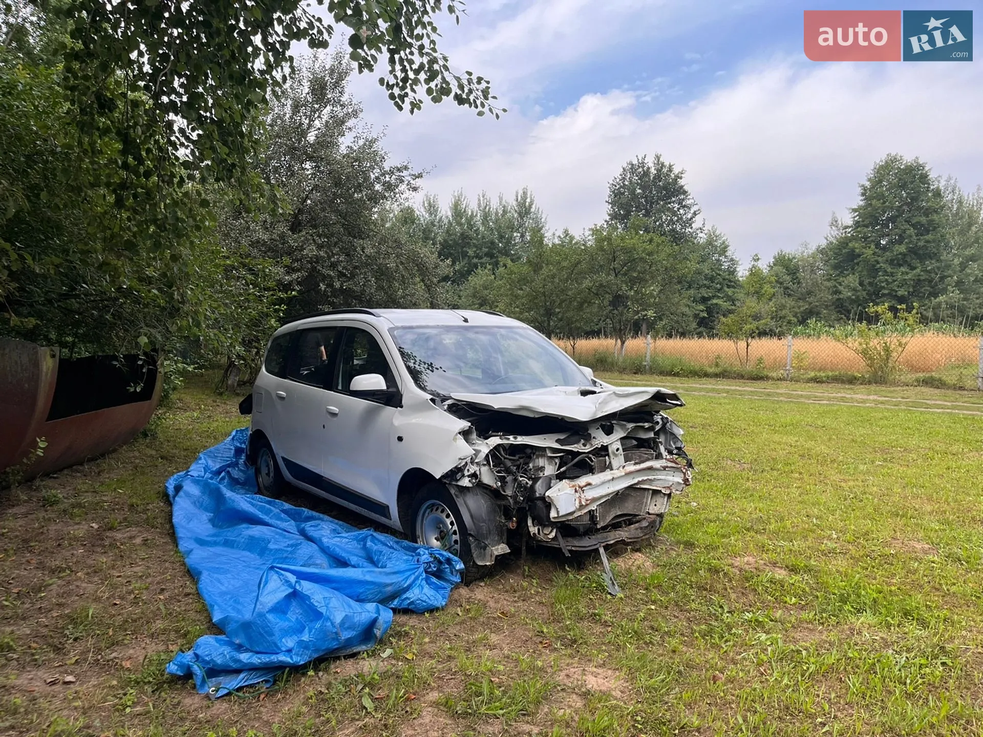 2013 Renault Lodgy - мініатюра 13