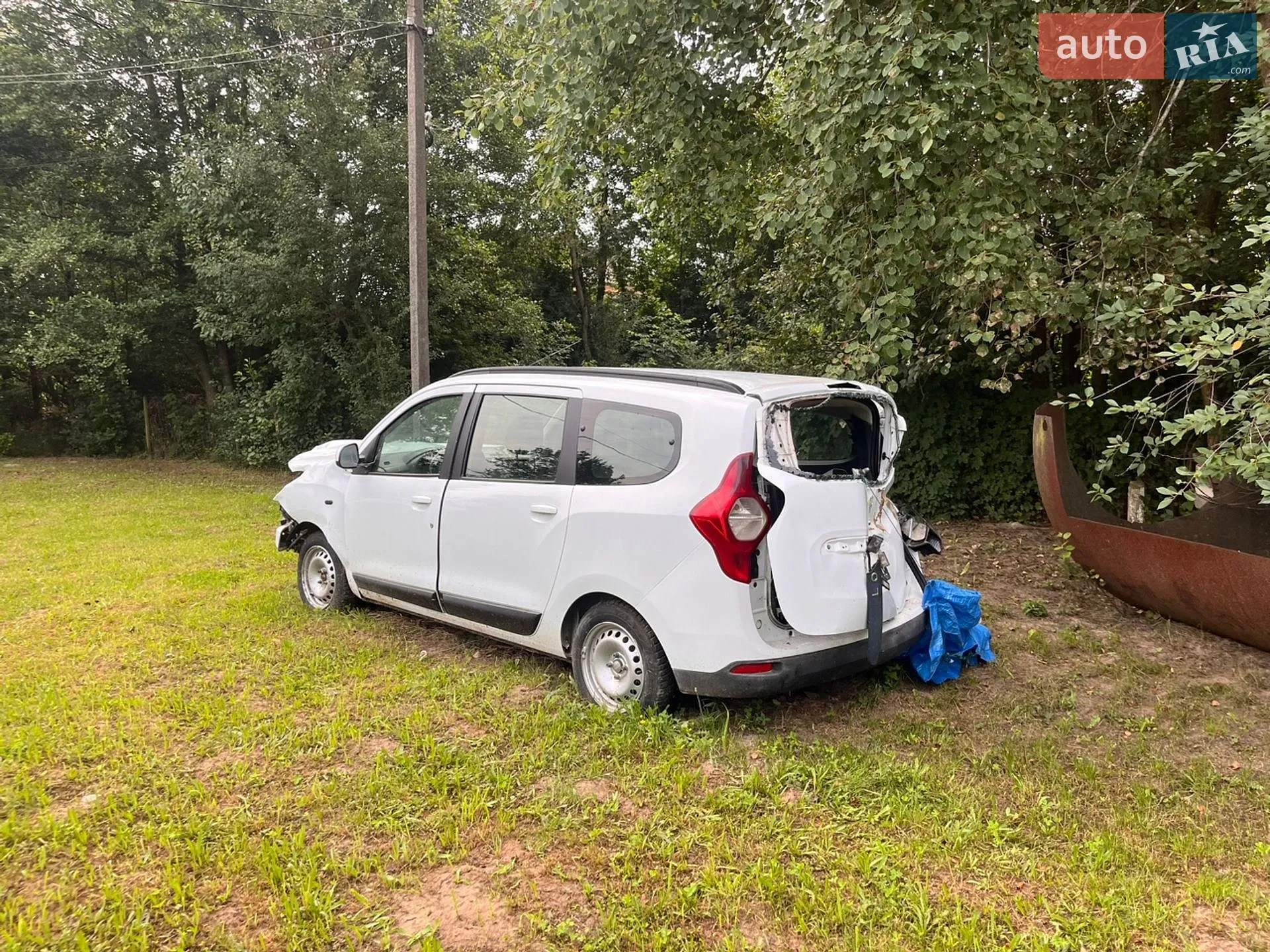2013 Renault Lodgy - мініатюра 18