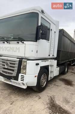 Зерновоз Renault Magnum 2003 в Пирятині