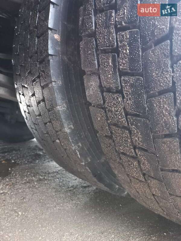 Тягач Renault Magnum 2009 в Запоріжжі фото 11 Тягач Renault Magnum 2009 в Запоріжжі