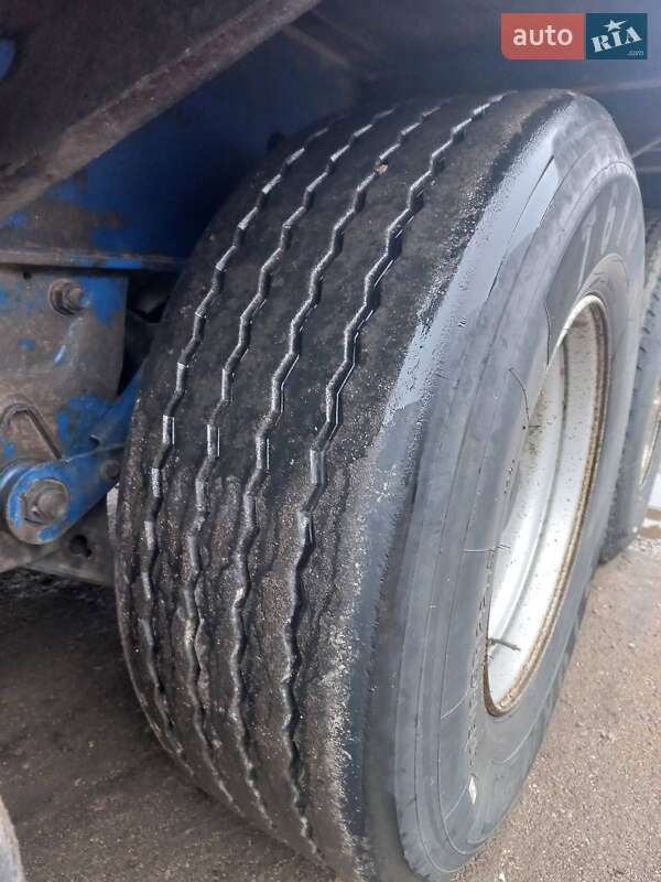 Тягач Renault Magnum 2009 в Запоріжжі фото 18 Тягач Renault Magnum 2009 в Запоріжжі