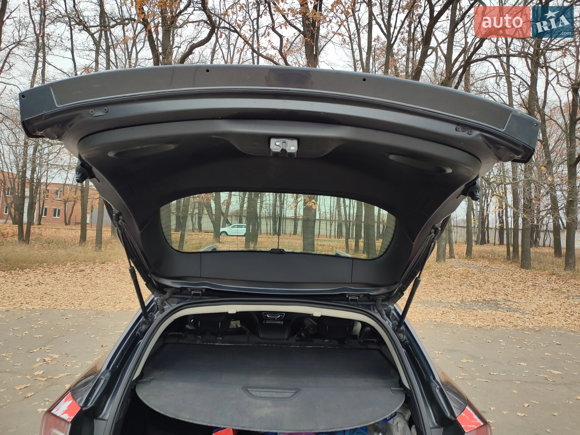 2010 Renault Megane - мініатюра 196