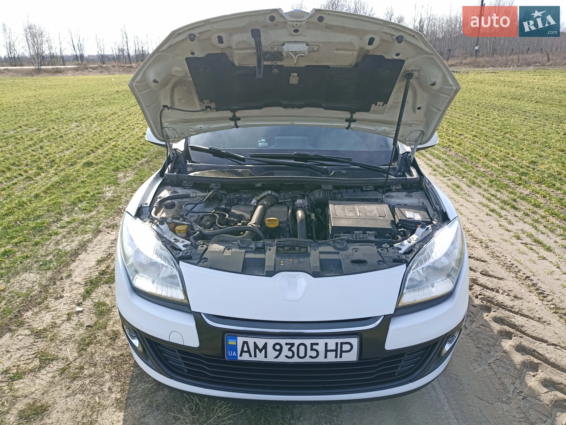 2013 Renault Megane - мініатюра 28