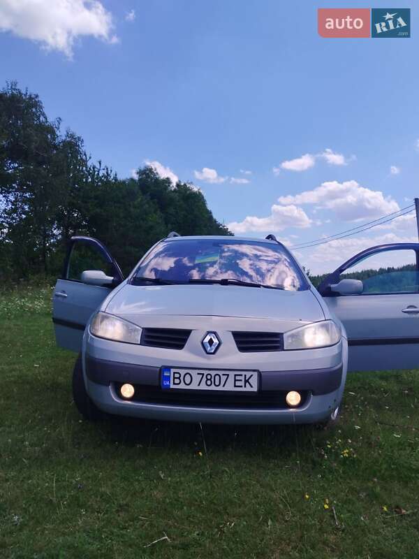 Хетчбек Renault Megane 2003 в Вишнівці фото 3 Хетчбек Renault Megane 2003 в Вишнівці