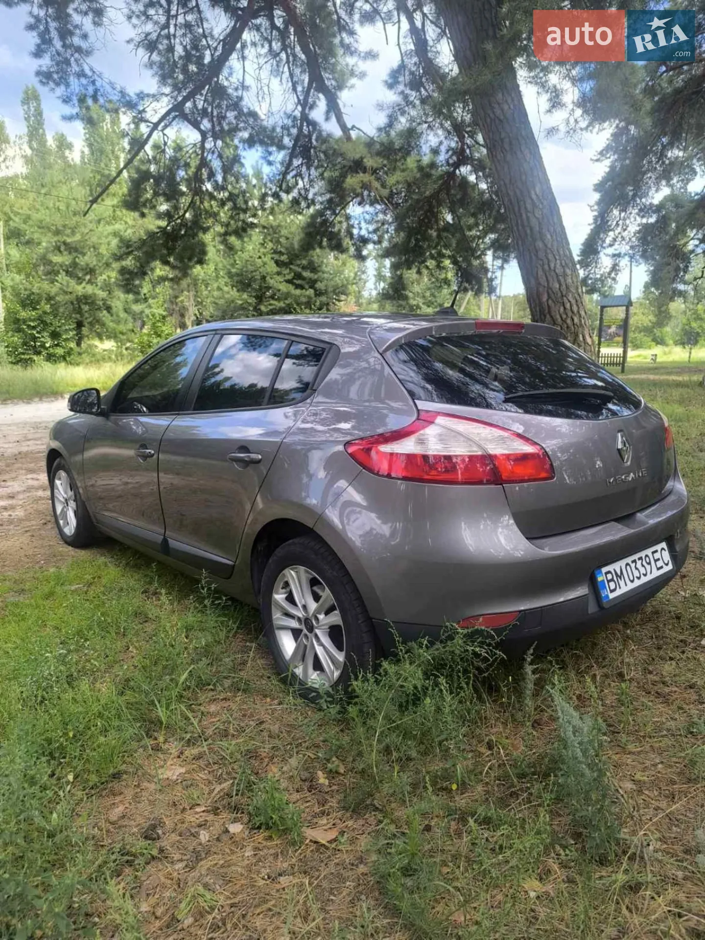 2010 Renault Megane - мініатюра 2