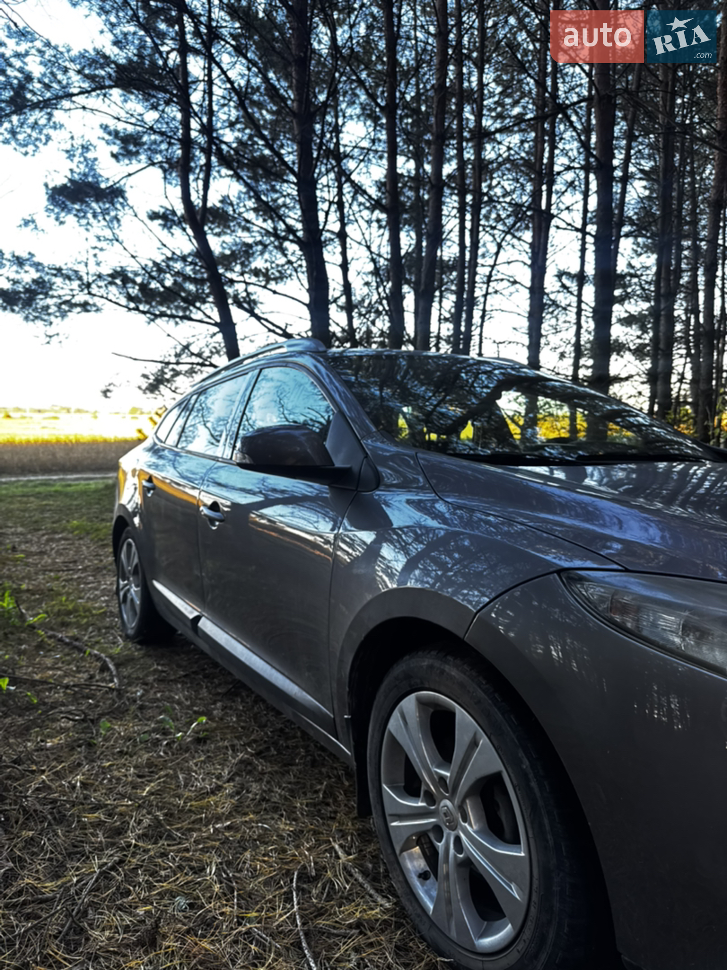 2010 Renault Megane - мініатюра 2