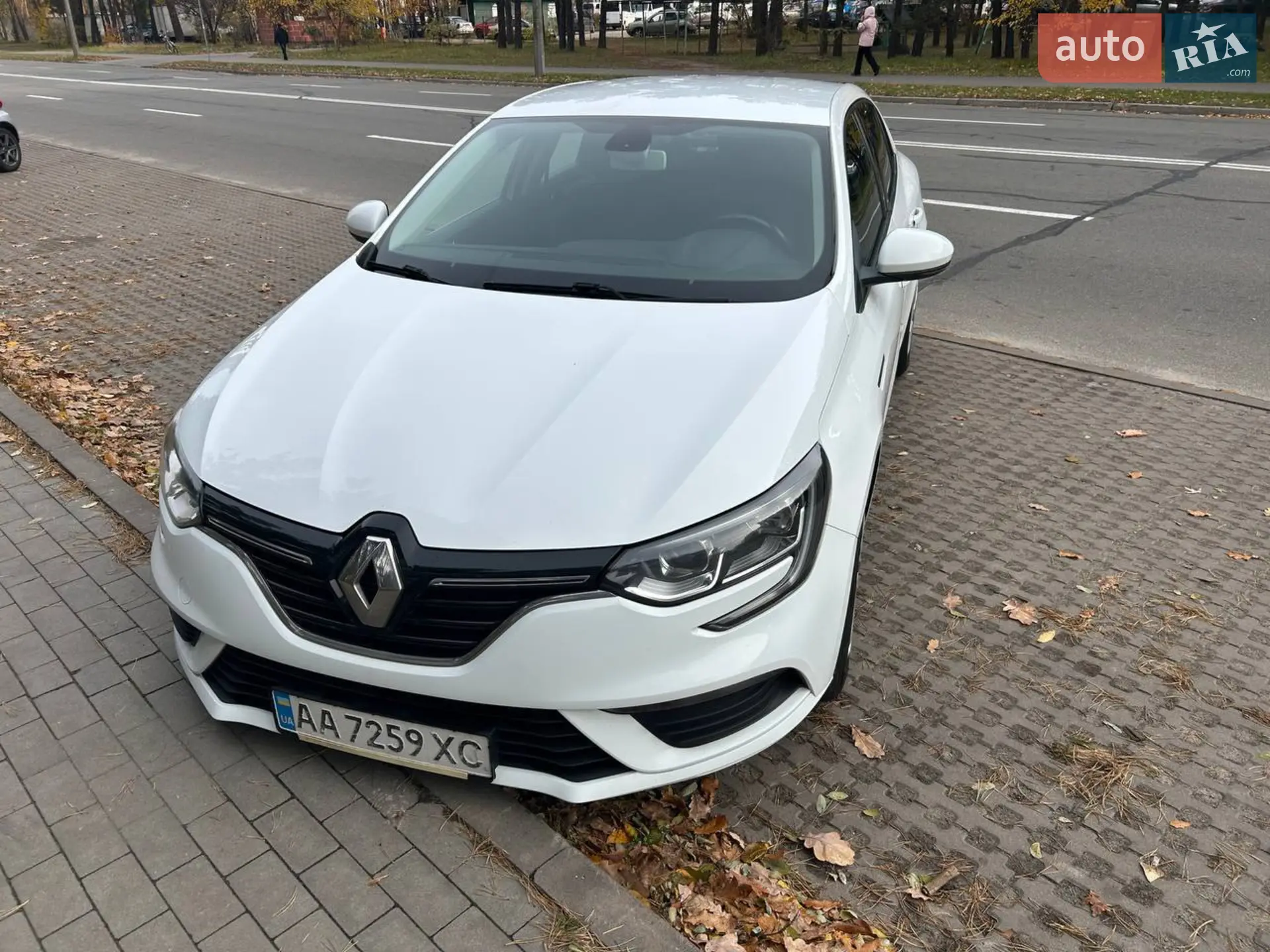 2019 Renault Megane - фото 1