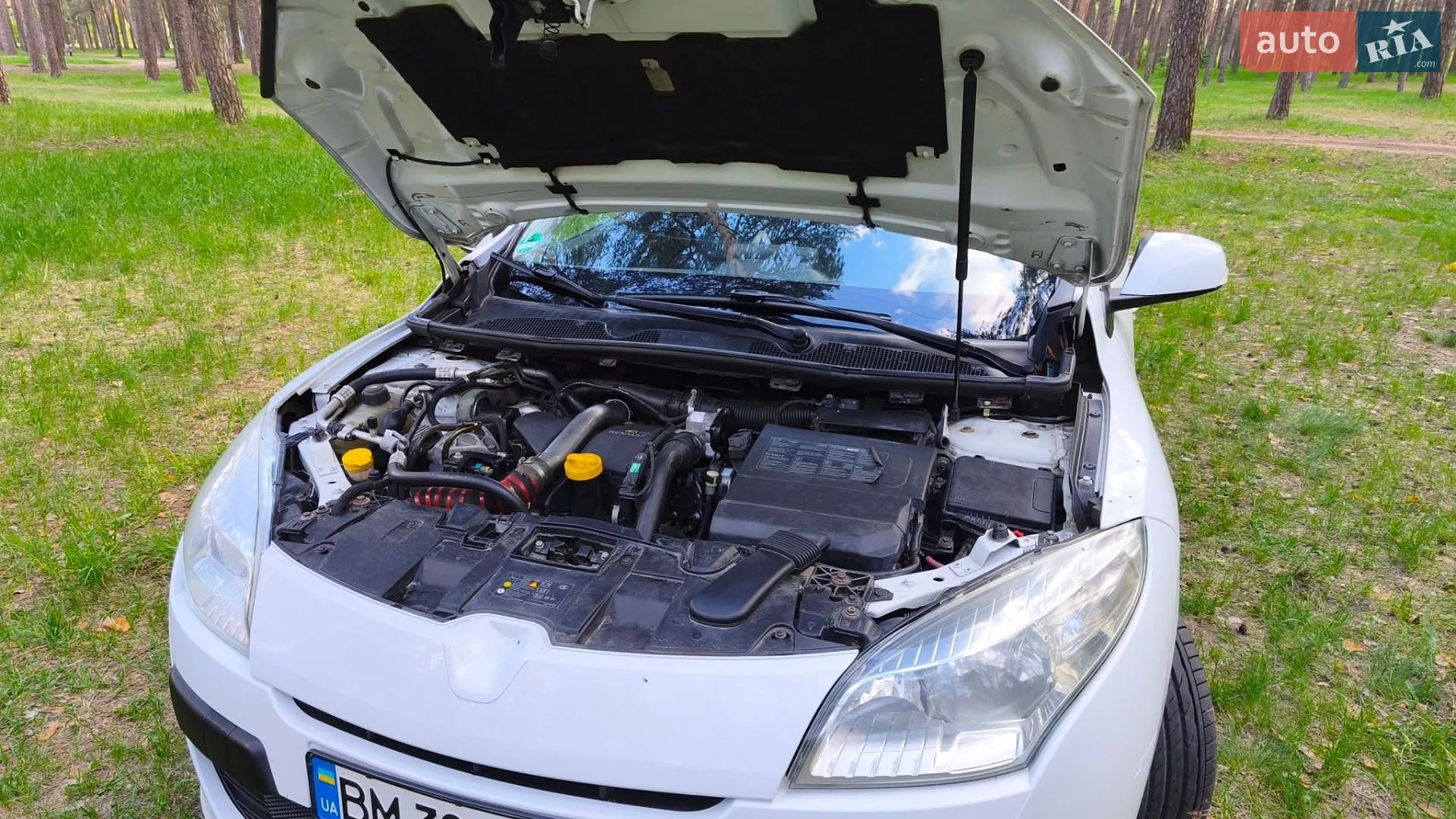 2011 Renault Megane - мініатюра 20