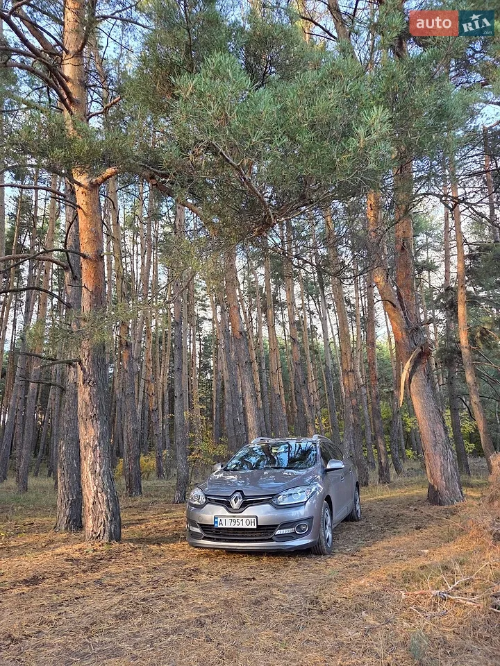 2014 Renault Megane - мініатюра 19