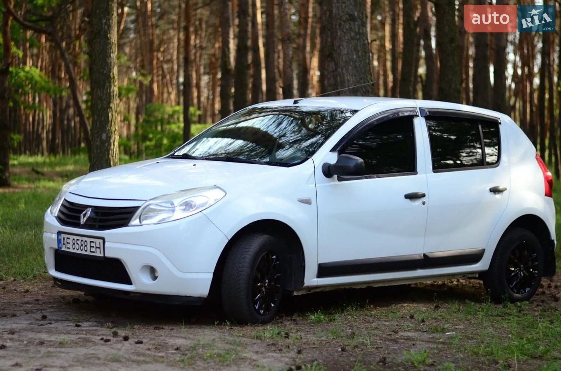 2010 Renault Sandero - мініатюра 3