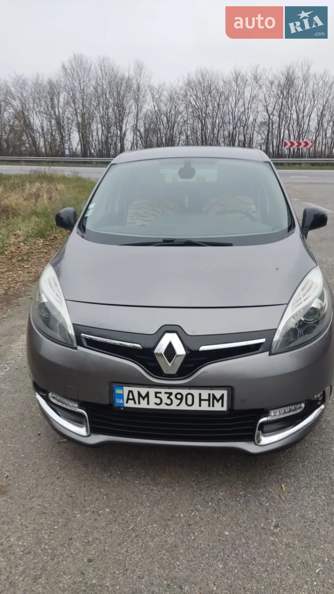 2014 Renault Scenic - мініатюра 6