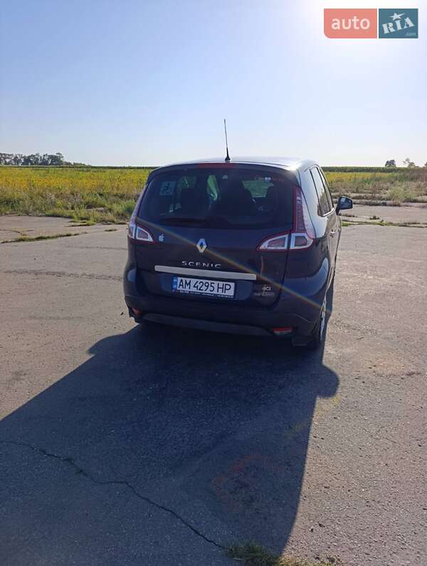 Минивэн Renault Scenic 2010 в Андрушевке