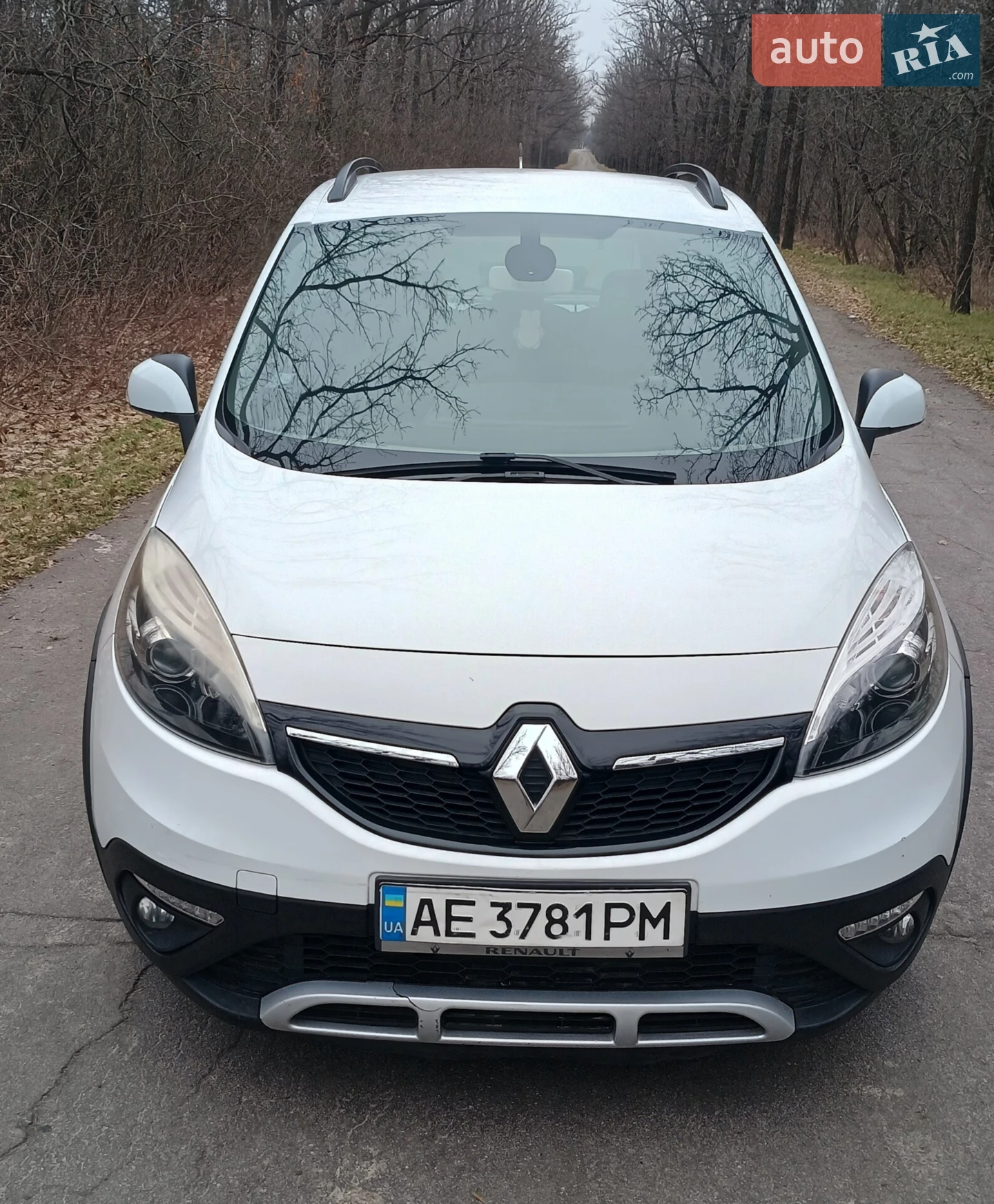 2013 Renault Scenic - мініатюра 4